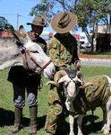 Animal Mascots : May 2014