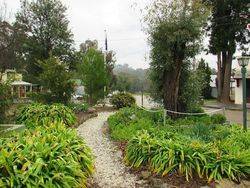 Garden 3 :30-June-2015