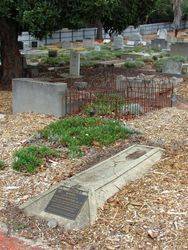 Dobney Grave : 26-February-2015
