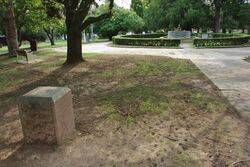 26-September-2017 (Peter Williams)