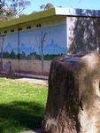 Win Boreham Mural : 31-July-2014