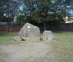 Wollondilla Garden : 25-January-2011