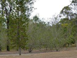 Trees 3 : 18-November-2014