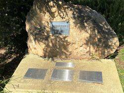 22-January-2022 (Fiona Morrison)